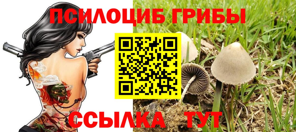 Городец  Псилоцибиновые грибы мицелий  где найти   Вход с VPN  Галлюциногенные грибы ЛСД 