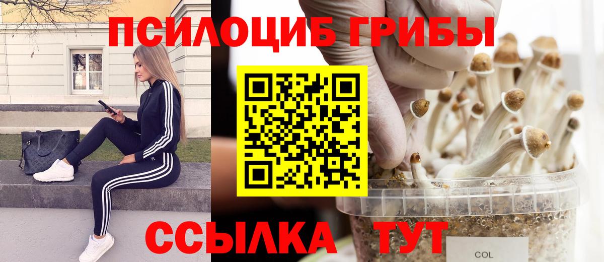 Галлюциногенные грибы Cubensis Городец